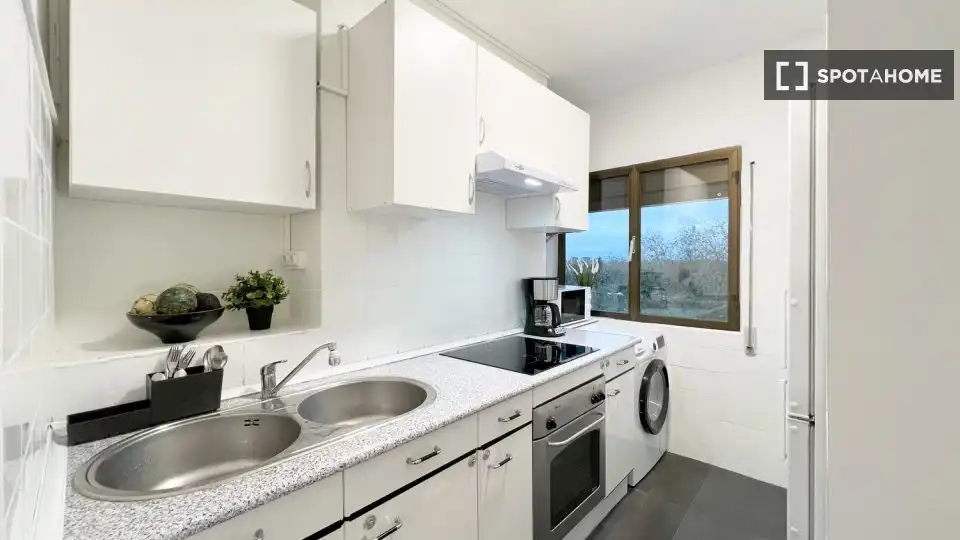 Kitchen of Flat for rent in Madrid  with Air Conditioner, Heating and Furnished