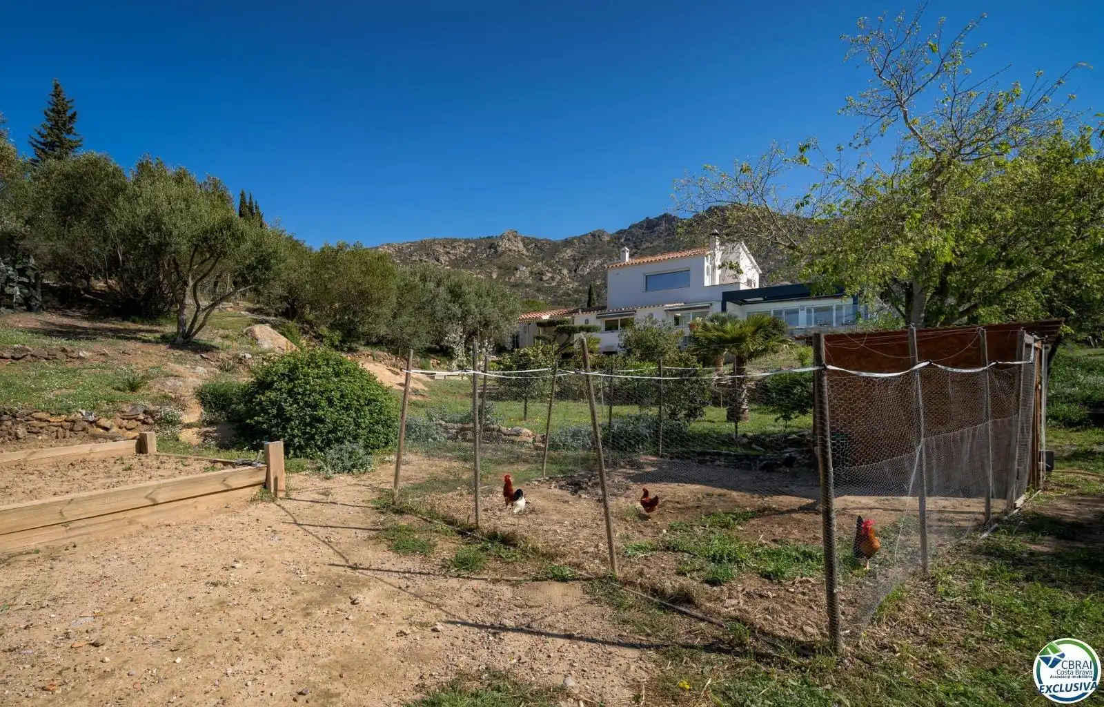 Jardí de Casa o xalet en venda en Palau-saverdera amb Aire condicionat, Calefacció i Terrassa