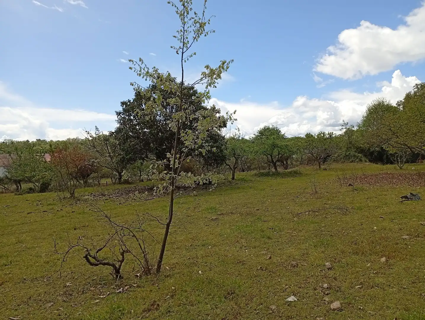 Terreni e lotti in vendita a Villanueva de la Vera, imagen 35