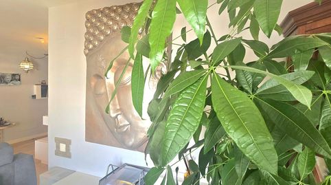 Foto 4 de Ático en venta en Barrio Albatros, Bahía de Marbella, Marbella