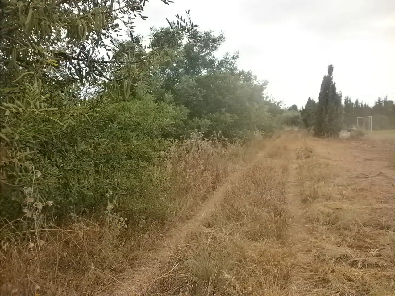 Rustikales Grundstück zum Verkauf in Vial Camino, imagen 2
