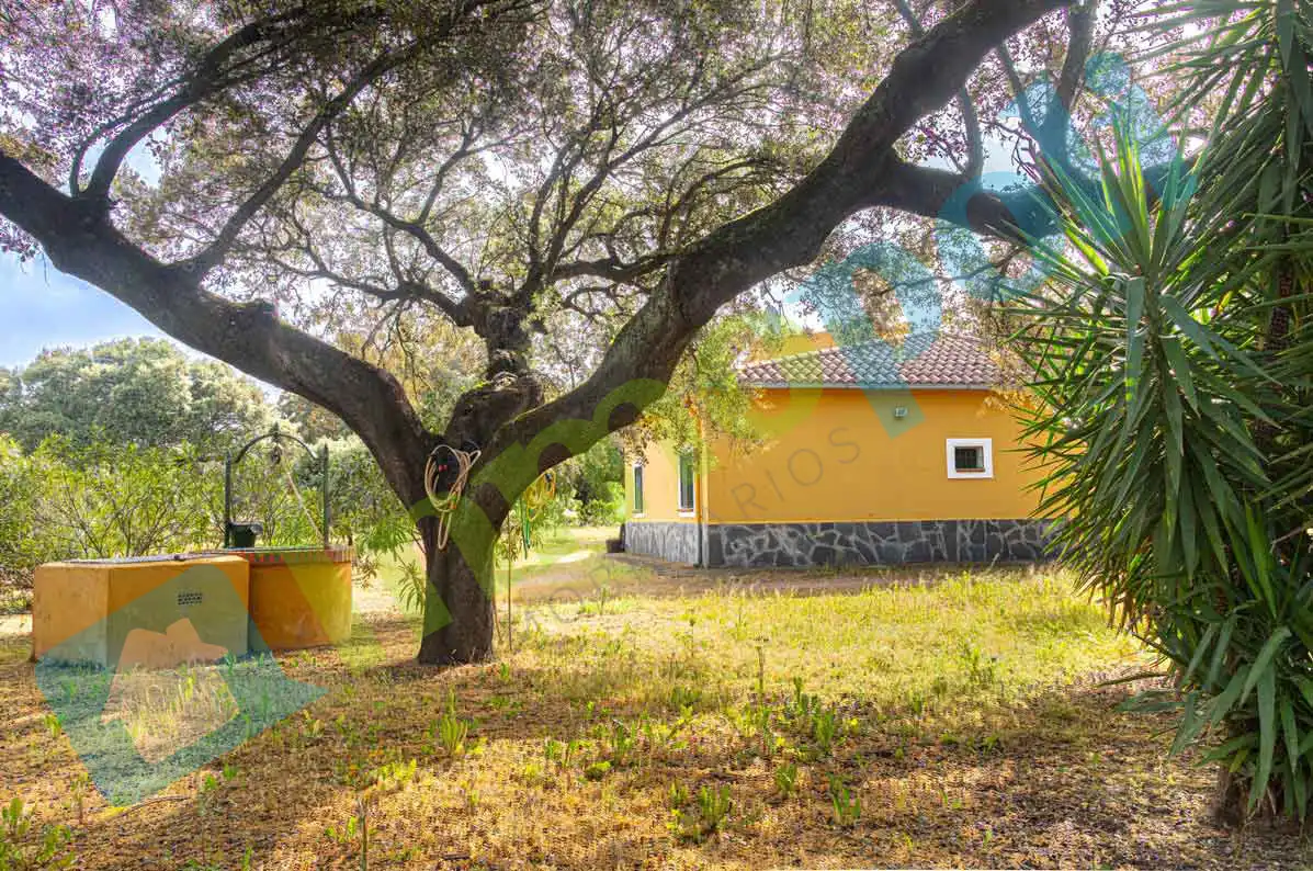 Garten von Haus oder Chalet zum Verkauf in Badajoz mit Klimaanlage und Abstellraum