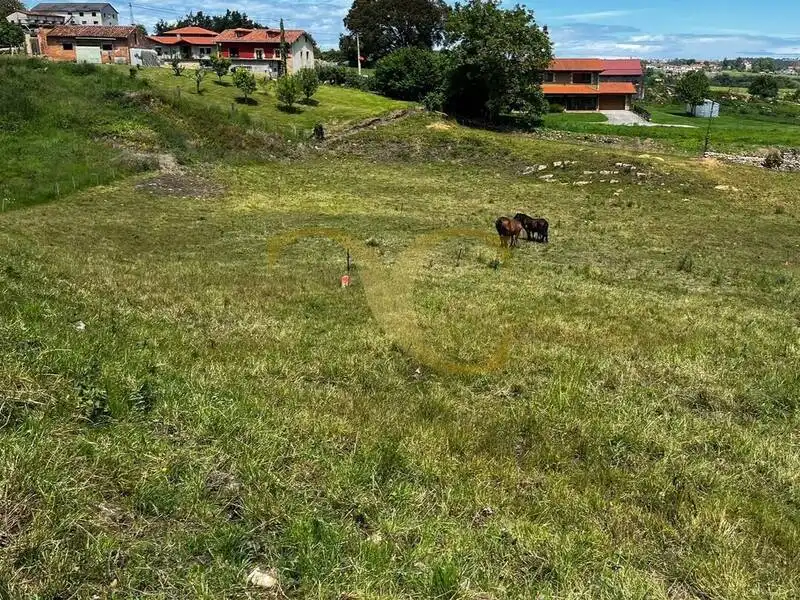 Terrain résidentiel à vendre à Villanueva, imagen 7
