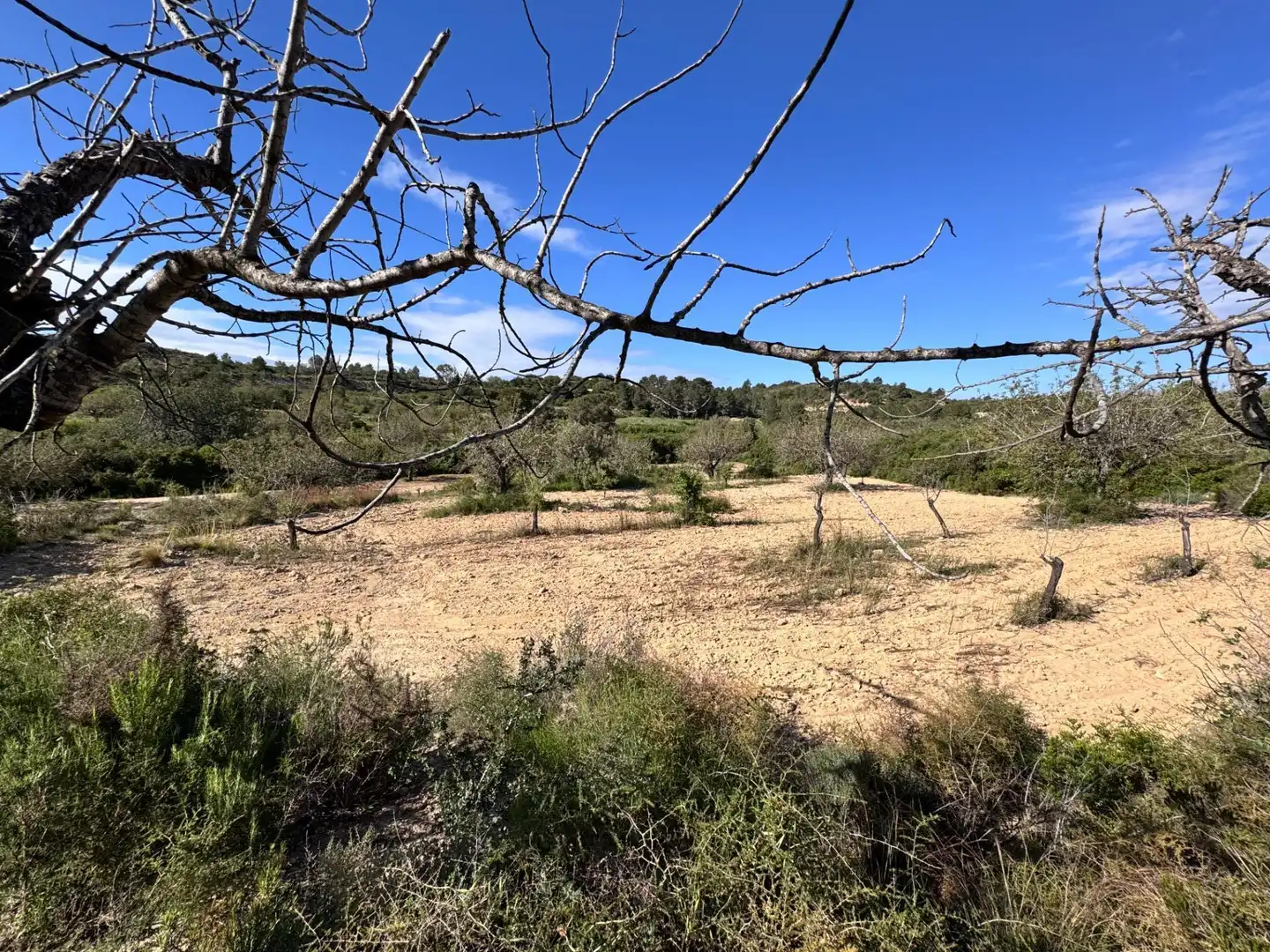 Land for sale in Polígono 26 Parcela 21 CASA BLANCA-BARBETA. TORRE, 26, Poligono Mas del Jutge