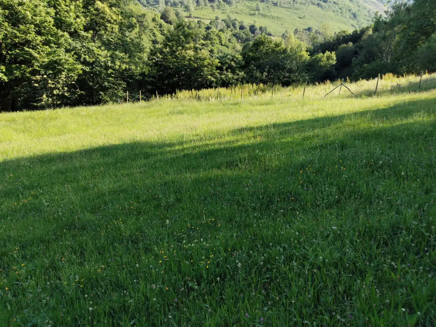 Residencial en venda en Rionansa