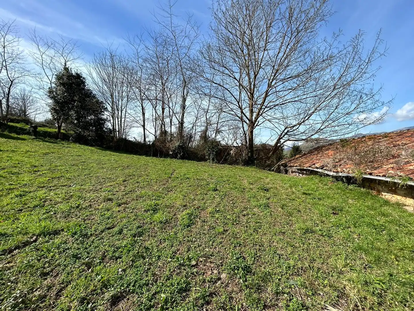 Terreni e lotti in vendita a Cangas de Onís, imagen 6
