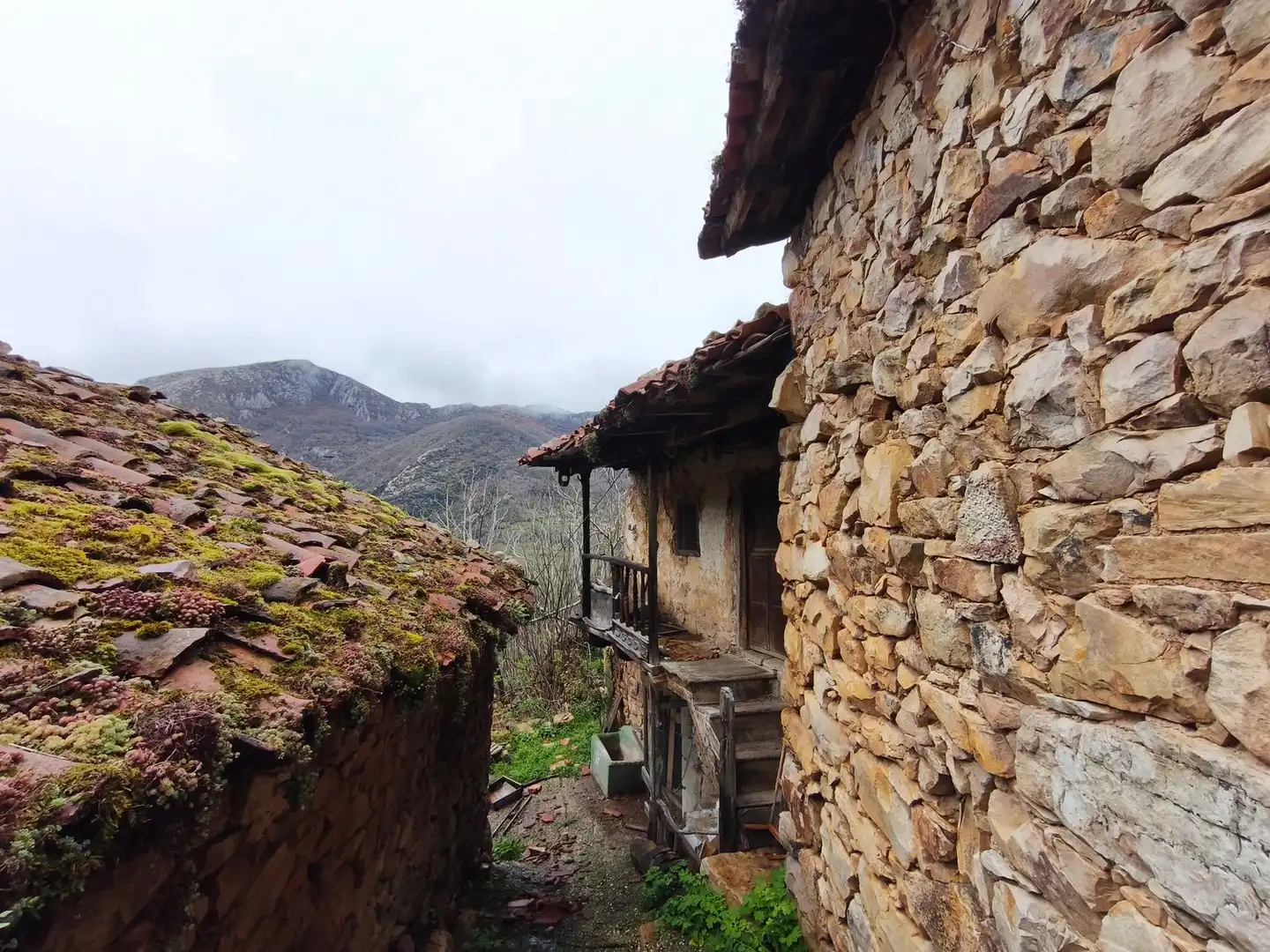 Vista exterior de Casa o chalet en venta en Proaza con Piscina