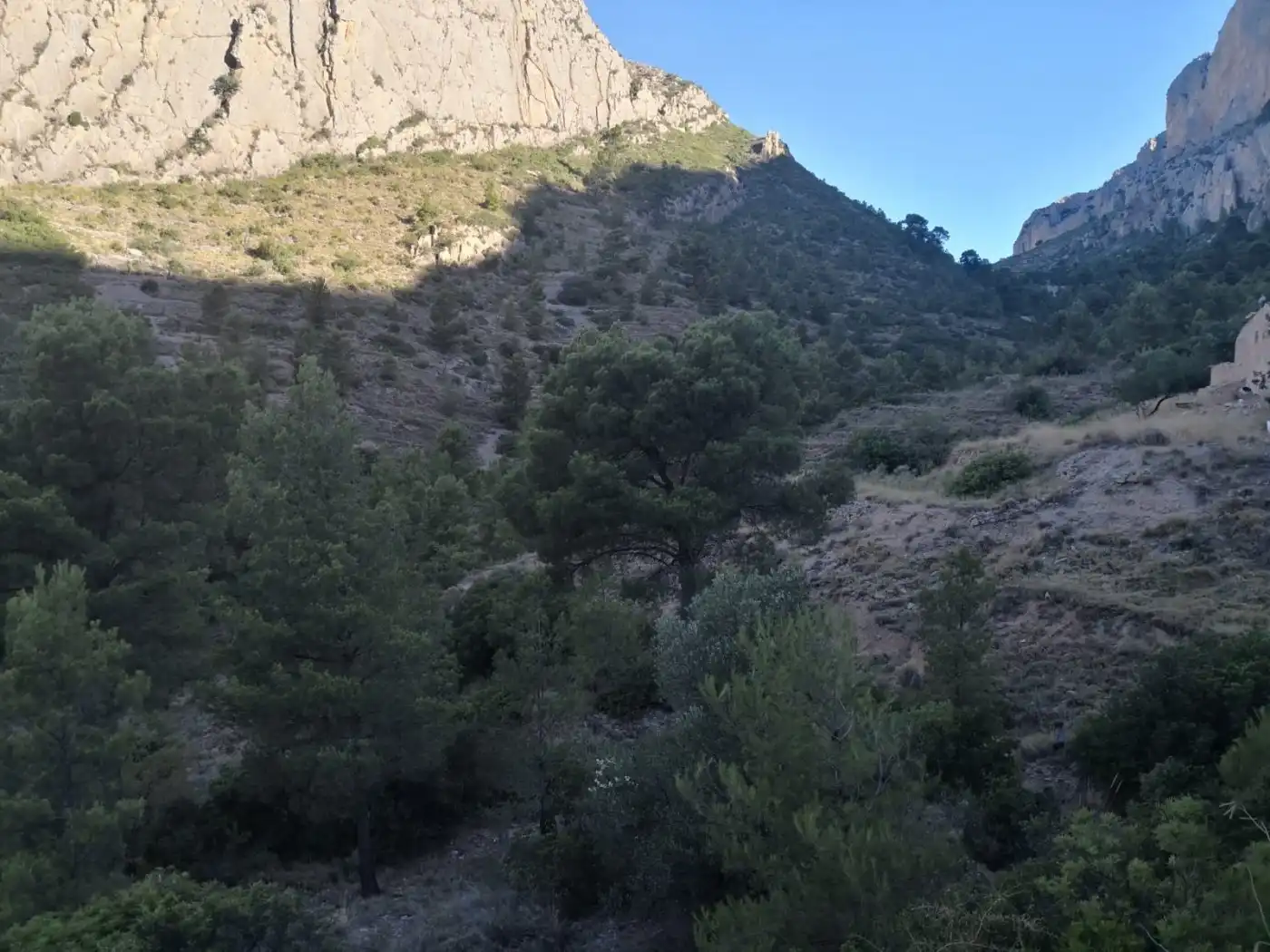 Terreny rústic en venda a Partida raco de seva, imagen 6