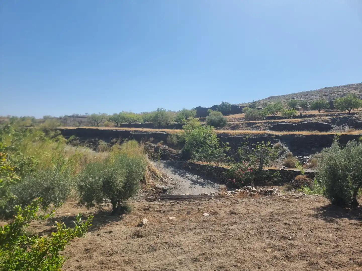 Terreno en venta en Senés