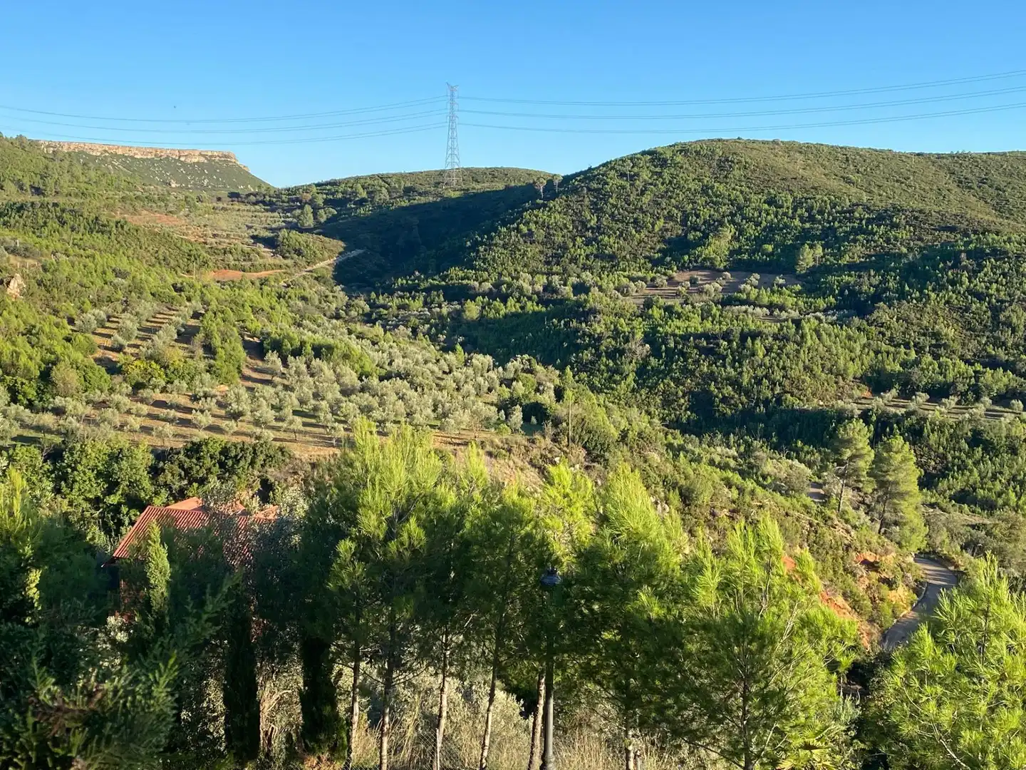 Terrenys i solars en venda a Cortes de Pallás, imagen 4