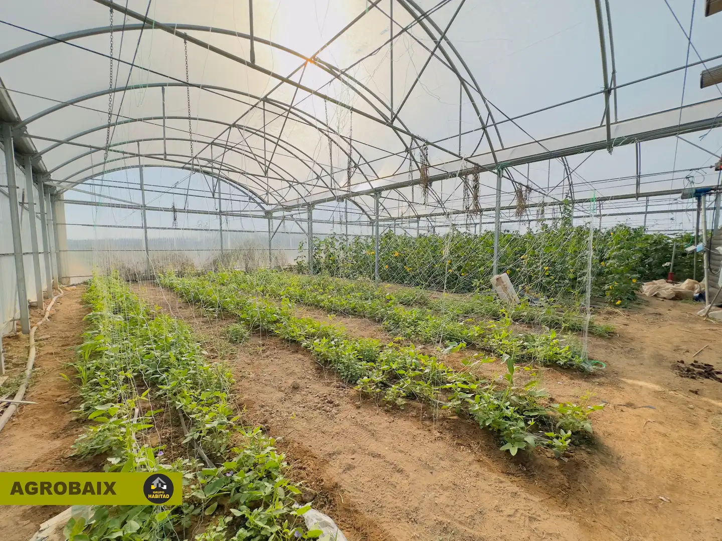 Terreno rustico in vendita a Vilamarina, imagen 65