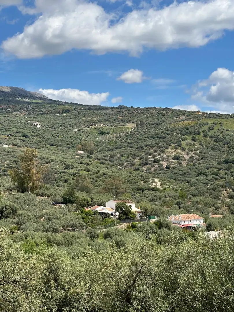 Terreni e lotti in vendita a Periana, imagen 28