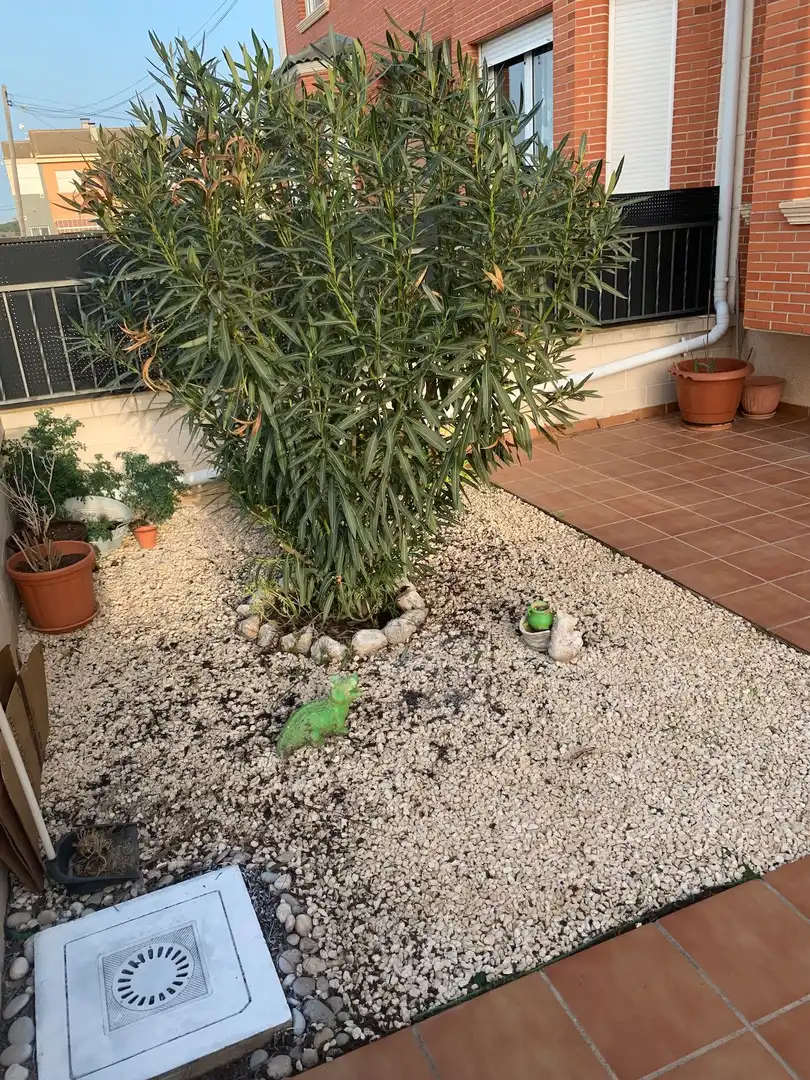 Einfamilien-Reihenhaus zum Verkauf in Carrer Rafael Pérez Babi, Cañada