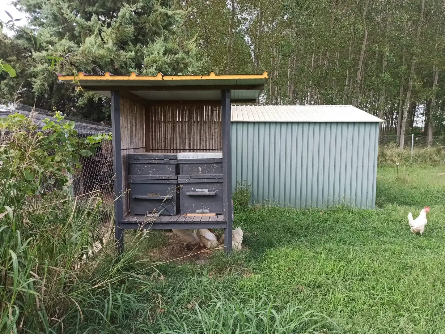 Jardín de Terreno en venta en Viana