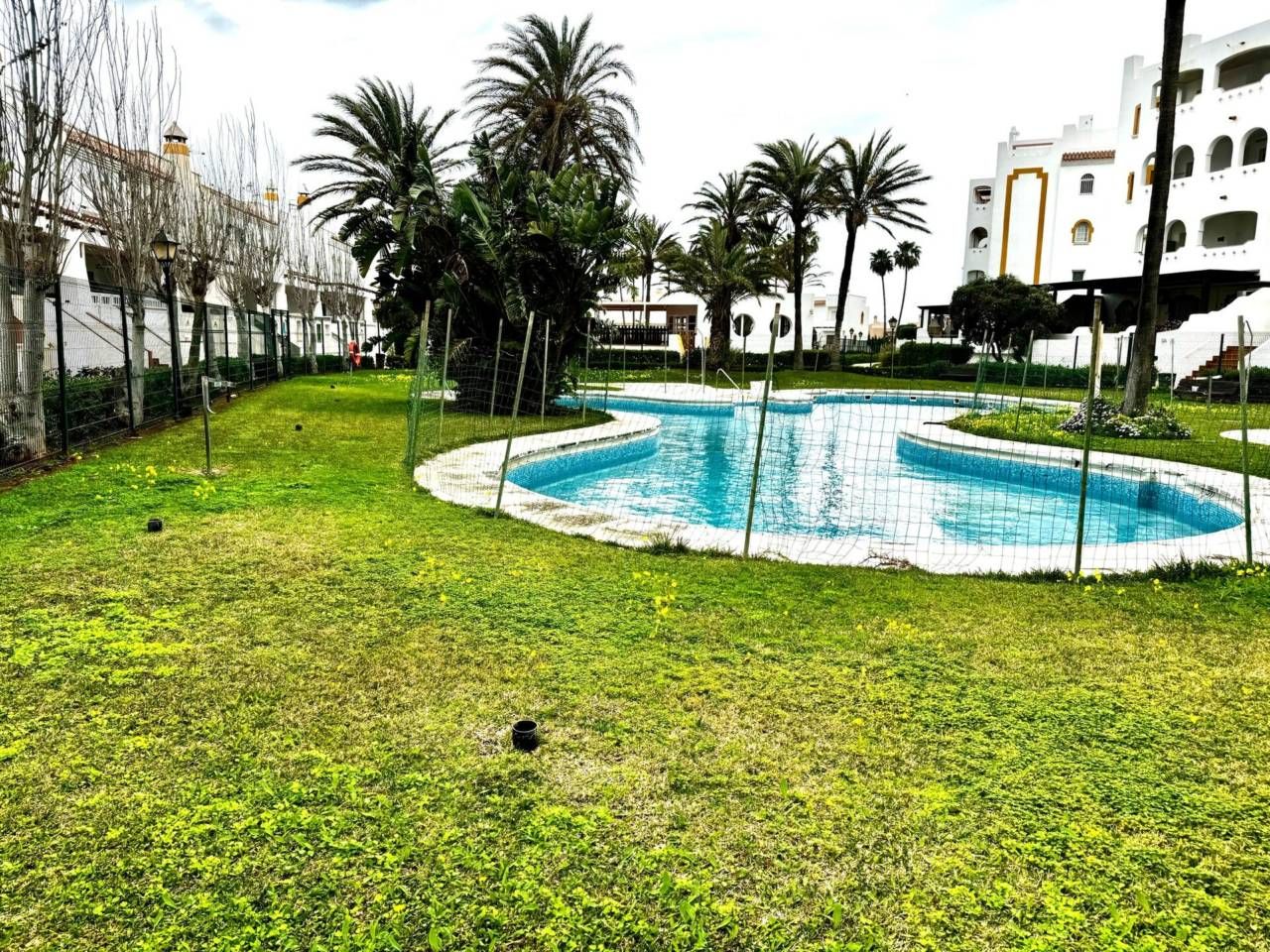 Piscina de Casa o xalet en venda en El Ejido amb Aire condicionat, Parquet i Terrassa