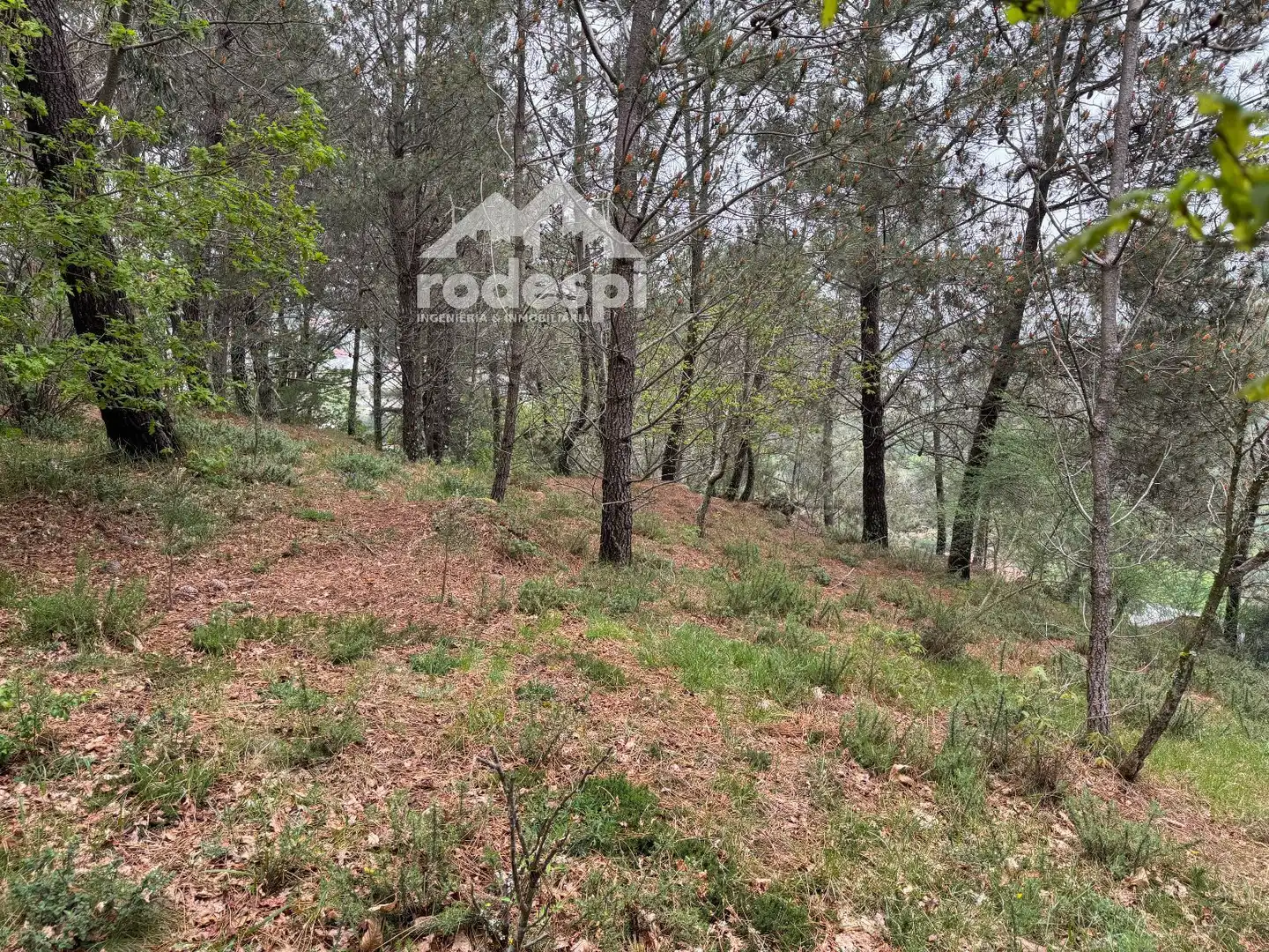 Xalet en venda a Covelo, imagen 68