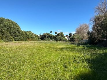 Rural land for sale in El Palmar