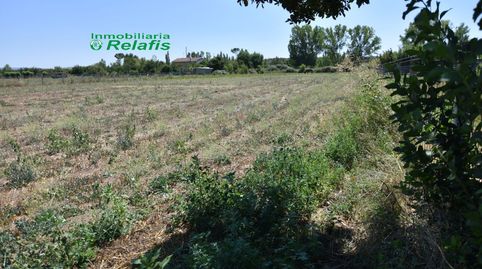 Finca Rúst. en venta en El Puente.