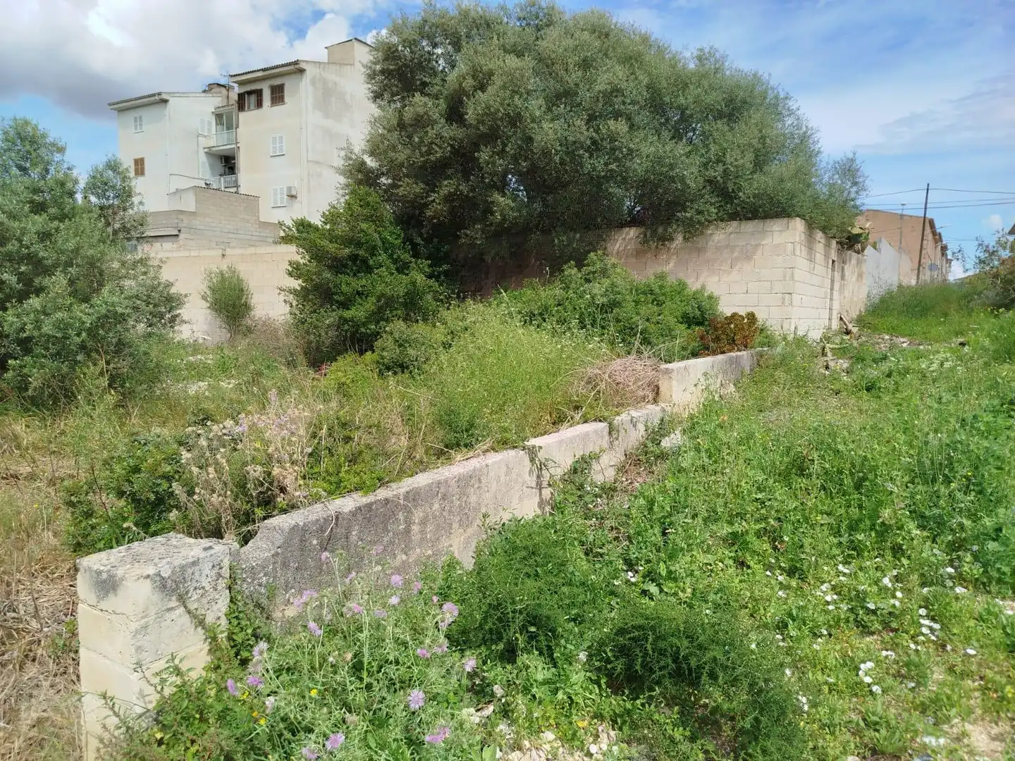 Grundstücke und Bauplätze zum Verkauf in GREGORI CERDO, imagen 17
