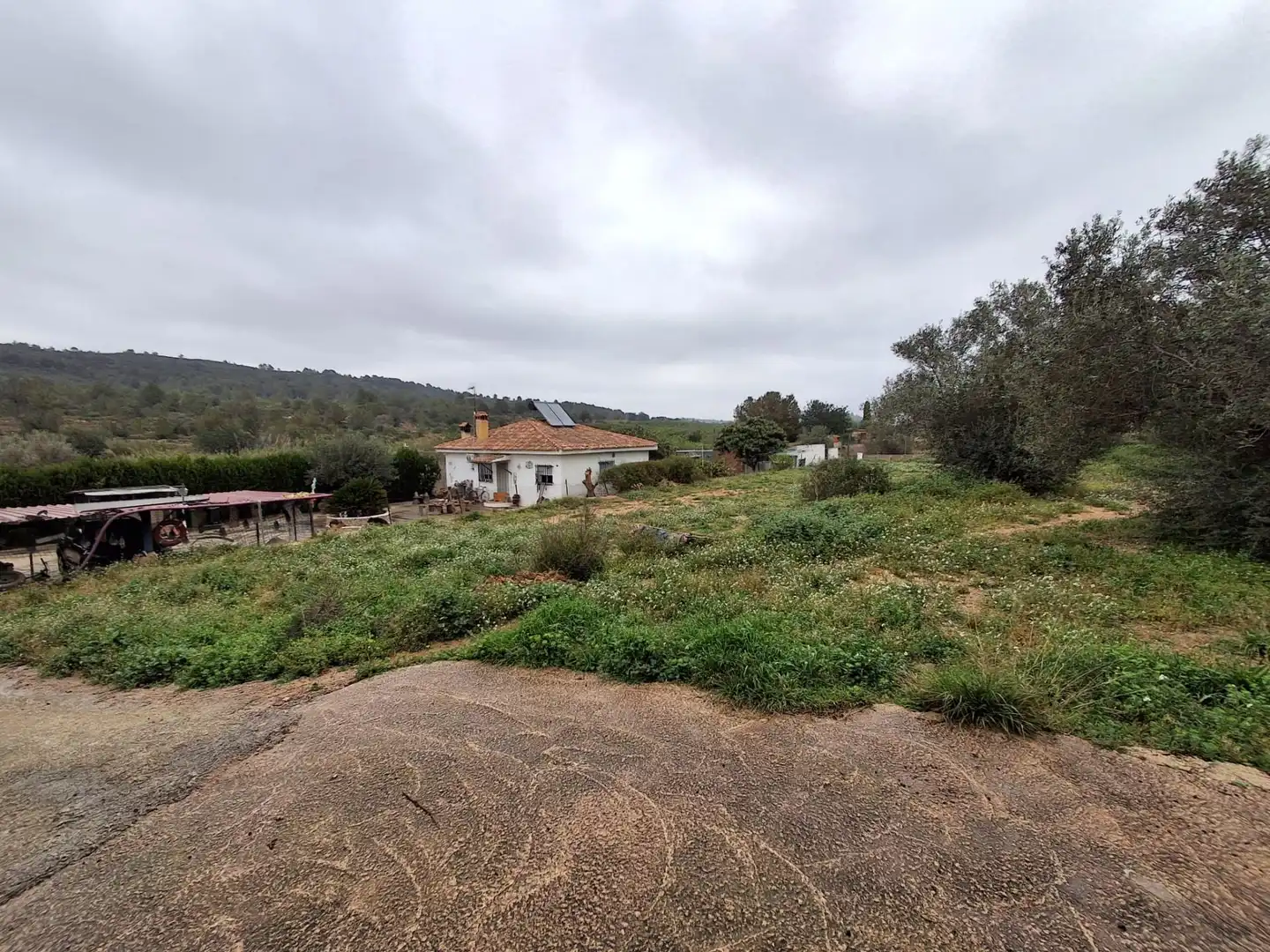 Casa con jardín en venta en Montserrat, imagen 14