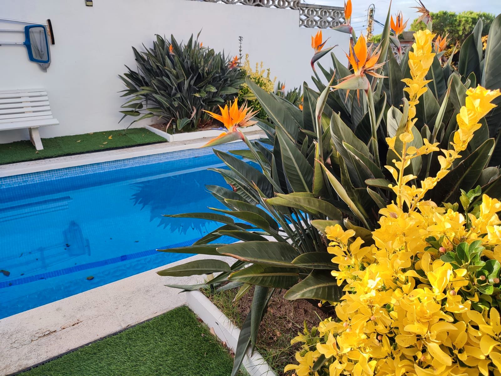 Piscina de Casa o chalet en venta en Lloret de Mar con Jardín privado y Piscina