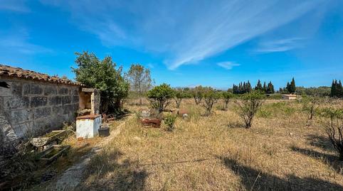 Photo 4 of Country house for sale in Diseminado Diseminados Var, 5, Llubí, Illes Balears