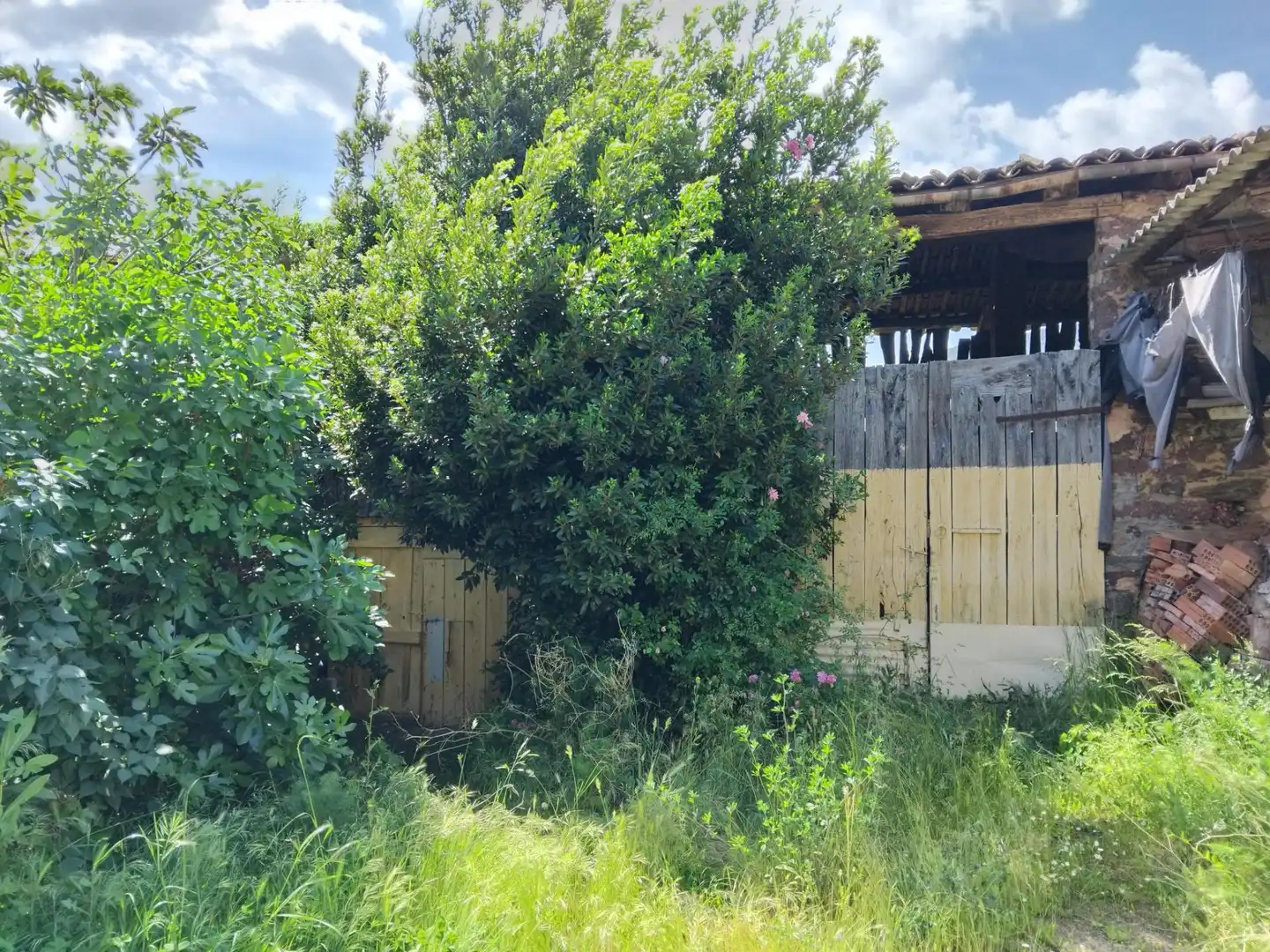 Finca rústica en venta en Ribera d'Urgellet