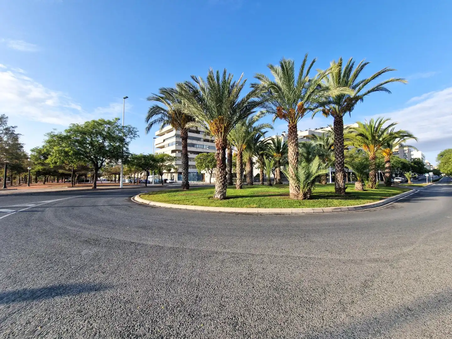 Business premises to rent in Elche ciudad, imagen 33