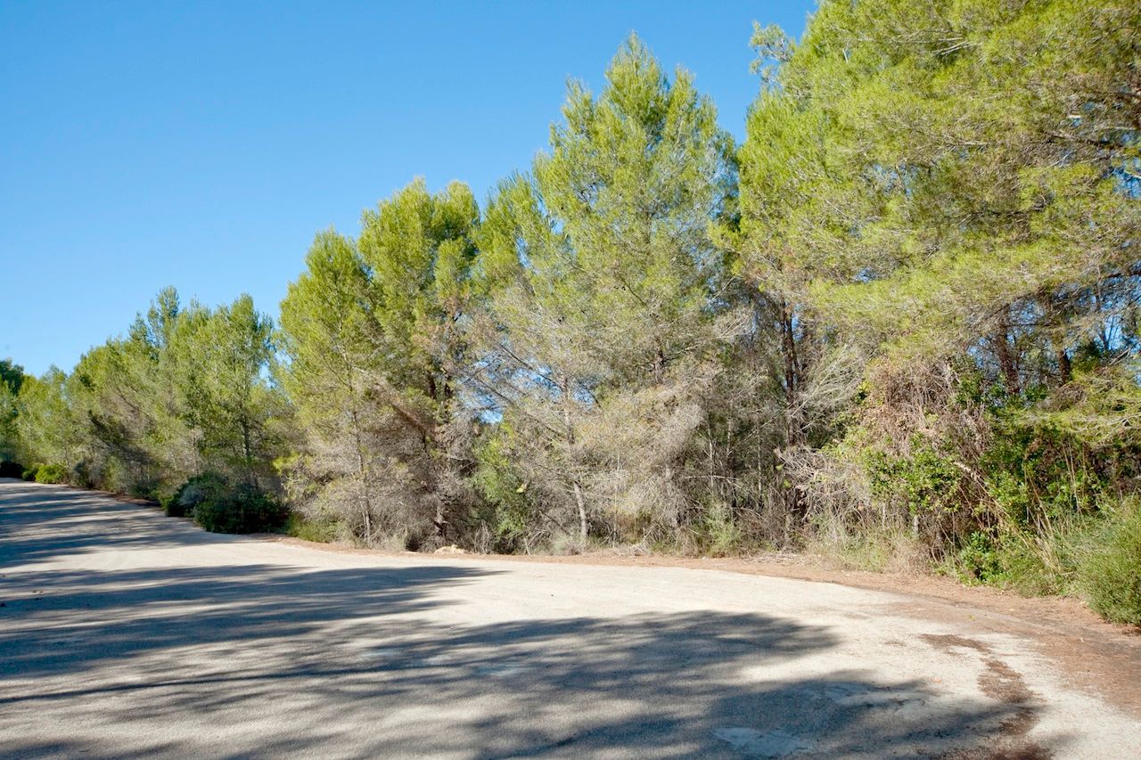 Land for sale in  Palma de Mallorca