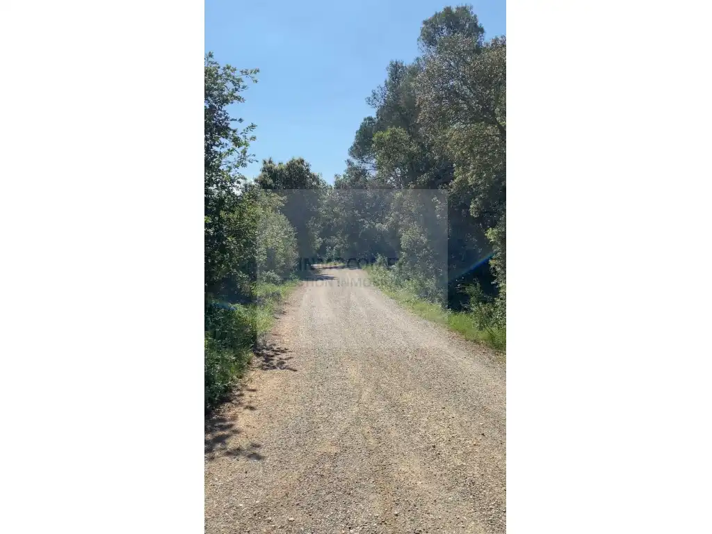 Land for sale in Pals