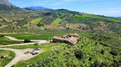 Foto 3 de Finca rústica en venta en Ma-156, 1, Periana, Málaga