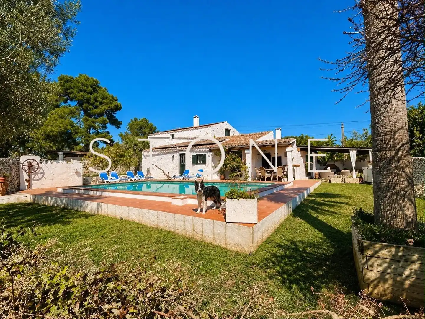 Maison avec piscine à vendre à Cap d'en Font - Binissafúller, imagen 4