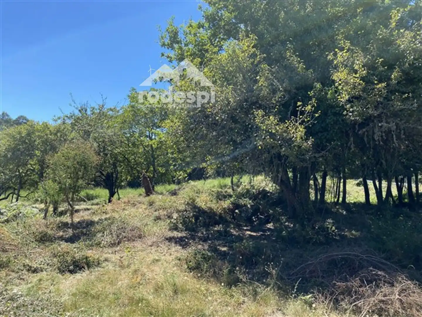 Terreny rústic en venda a Arans - Oroso, imagen 4