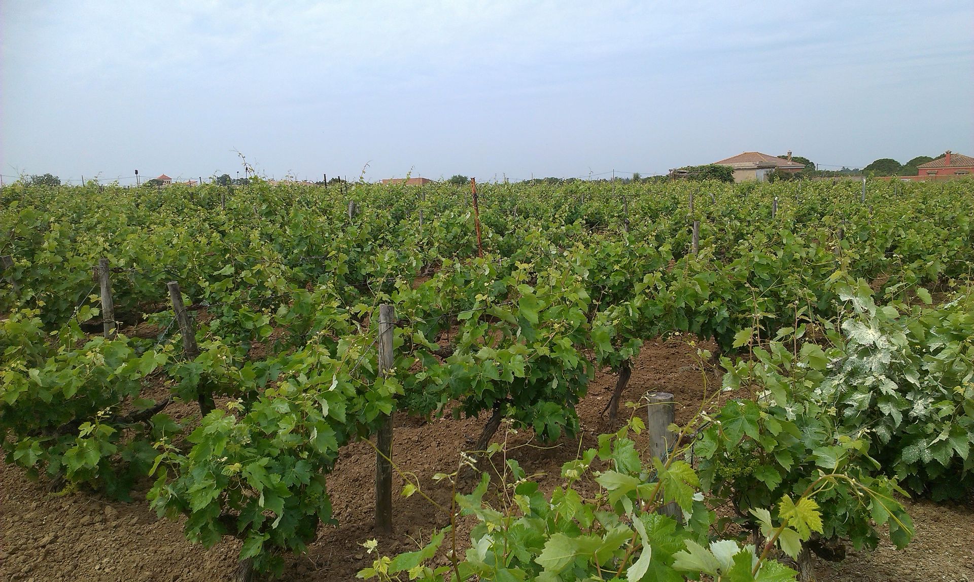 Building for sale in Jerez de la Frontera  with Alarm