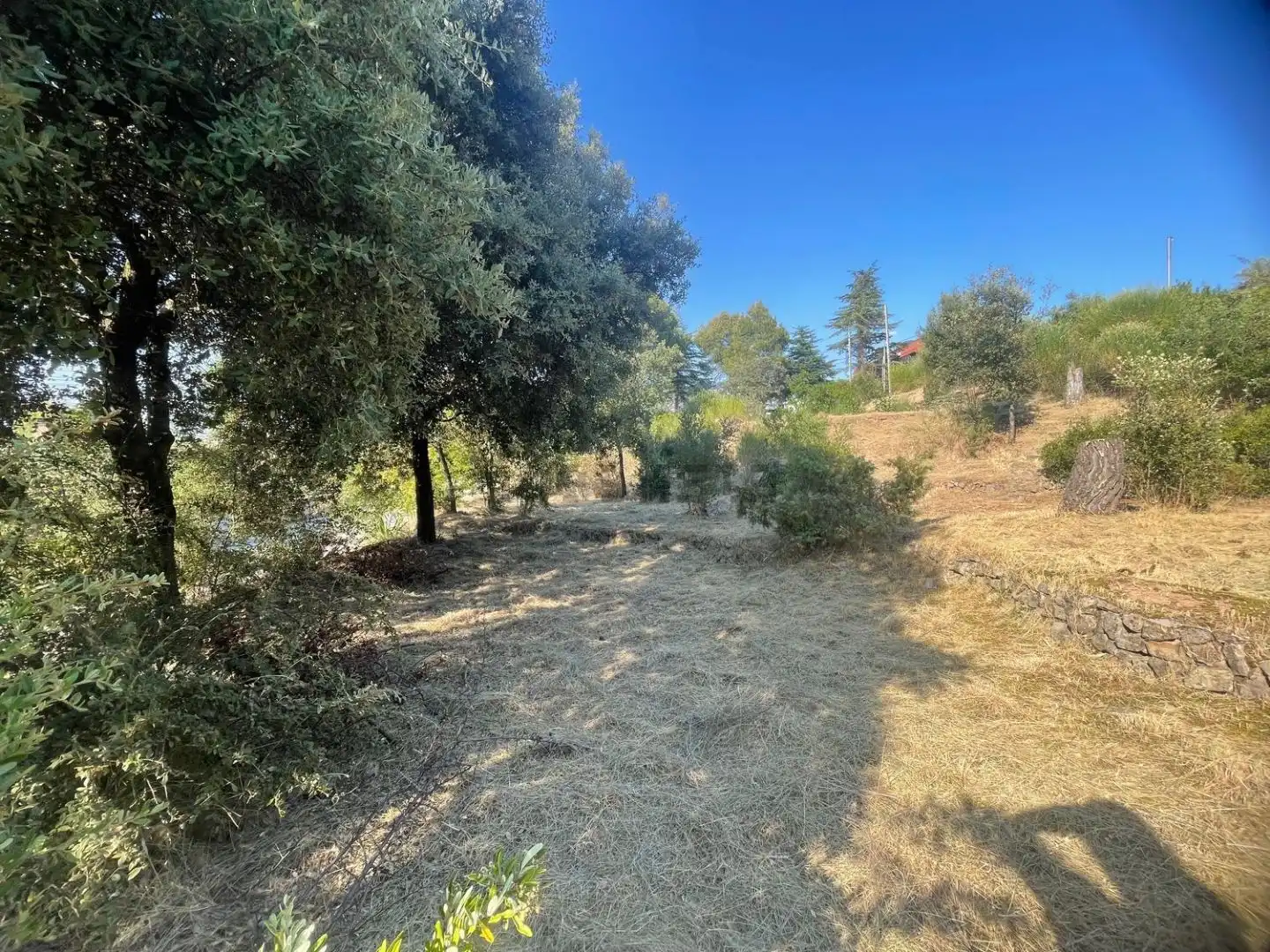 Residential land for sale in dels Avets 36, imagen 28