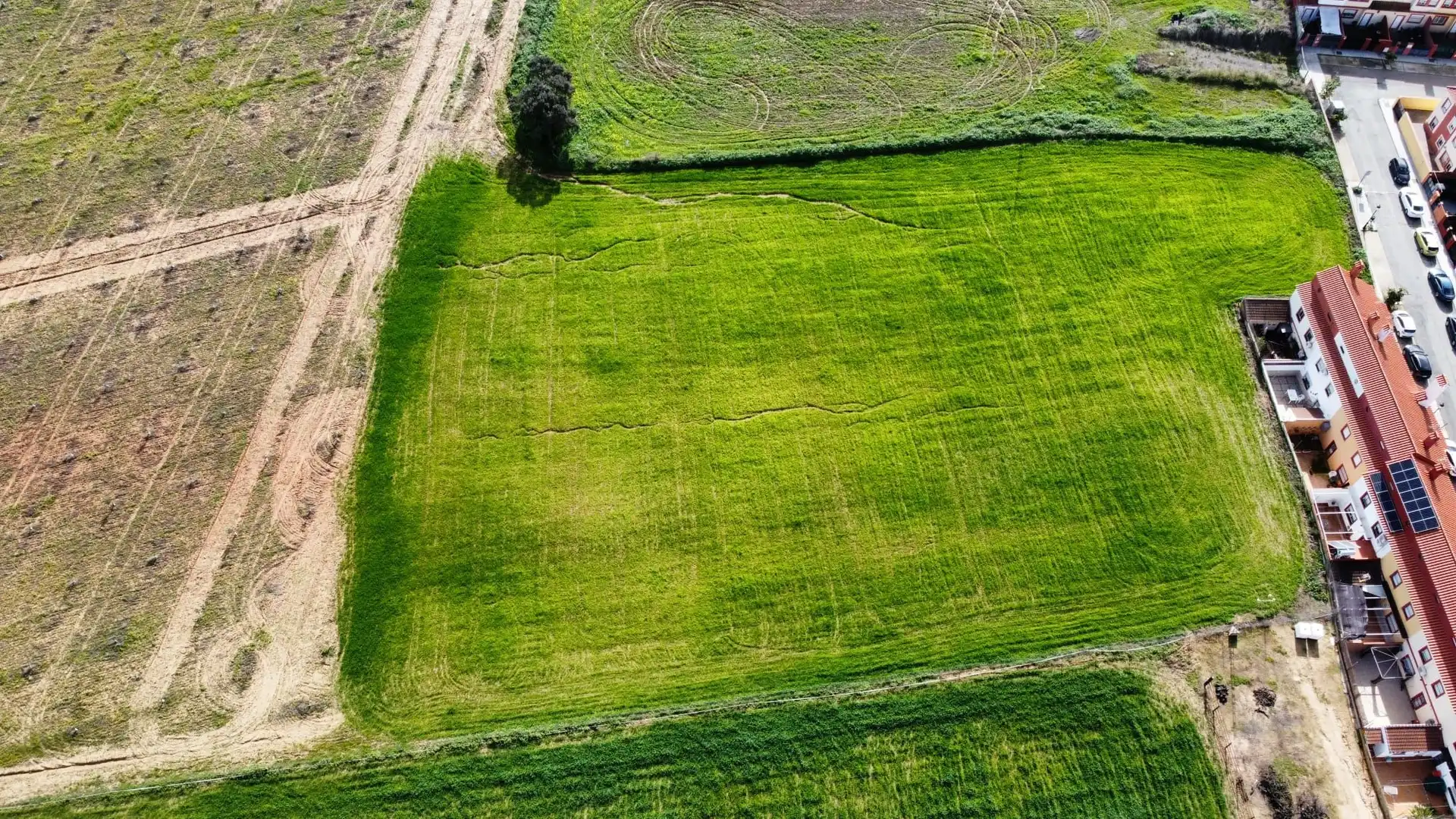 Land for sale in Carrión de los Céspedes