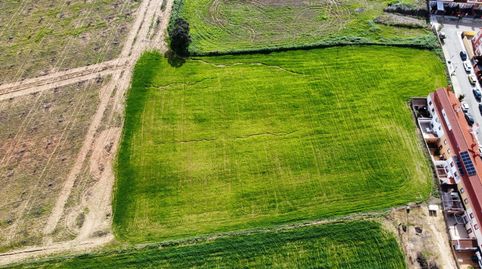 Foto 2 de Terreno en venta en Carretera Sc Subs, Carrión de los Céspedes, Sevilla