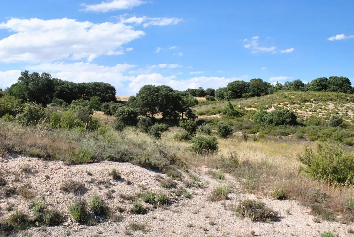 Residencial en venta en Loranca de Tajuña