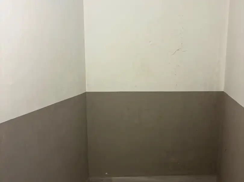 Traster de lloguer en Zona Alta