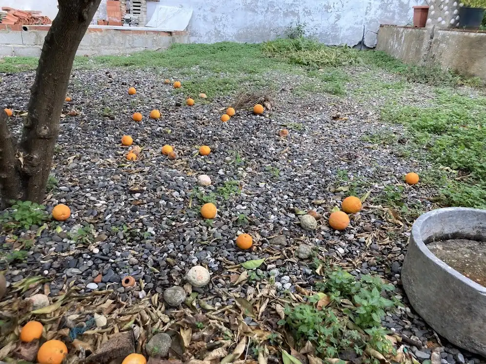 Terreni e lotti in vendita a Los Barrios, imagen 11