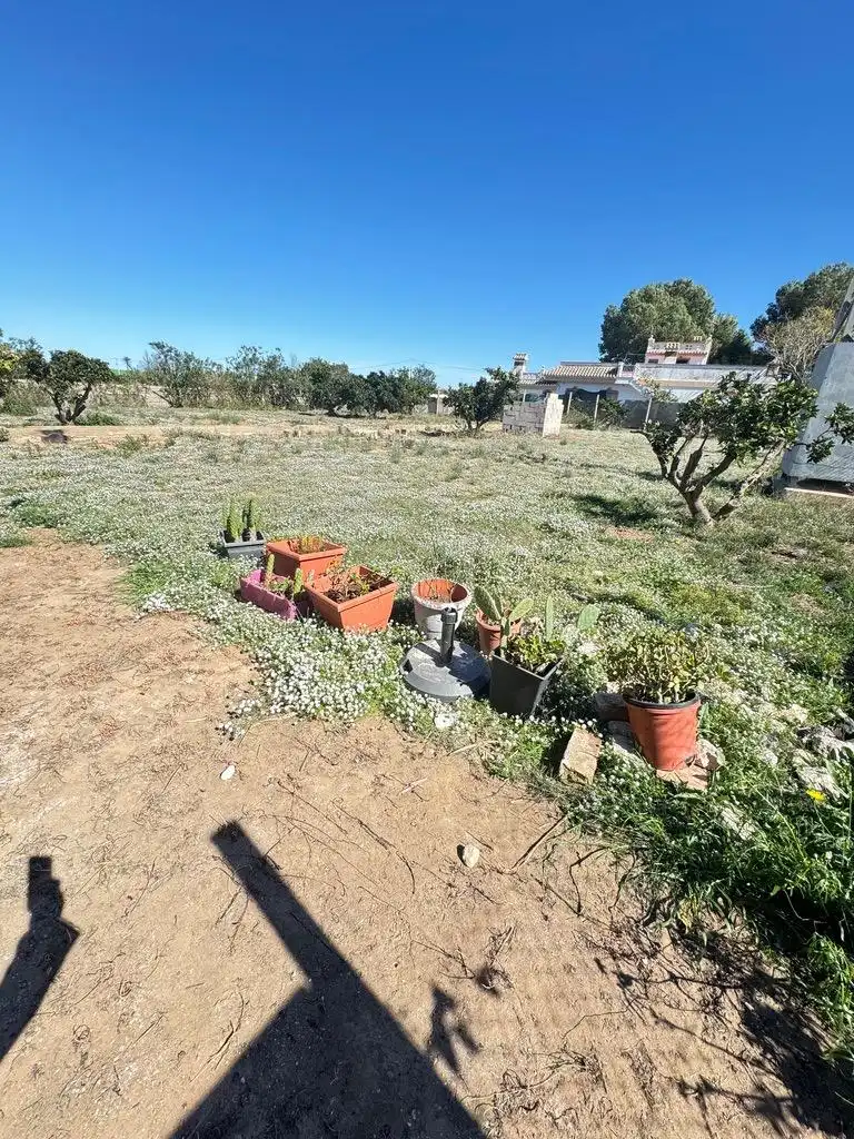Finca rústica en venta en Cullera