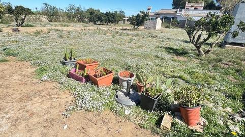 Foto 5 de Finca rústica en venda a El Marenyet, Cullera