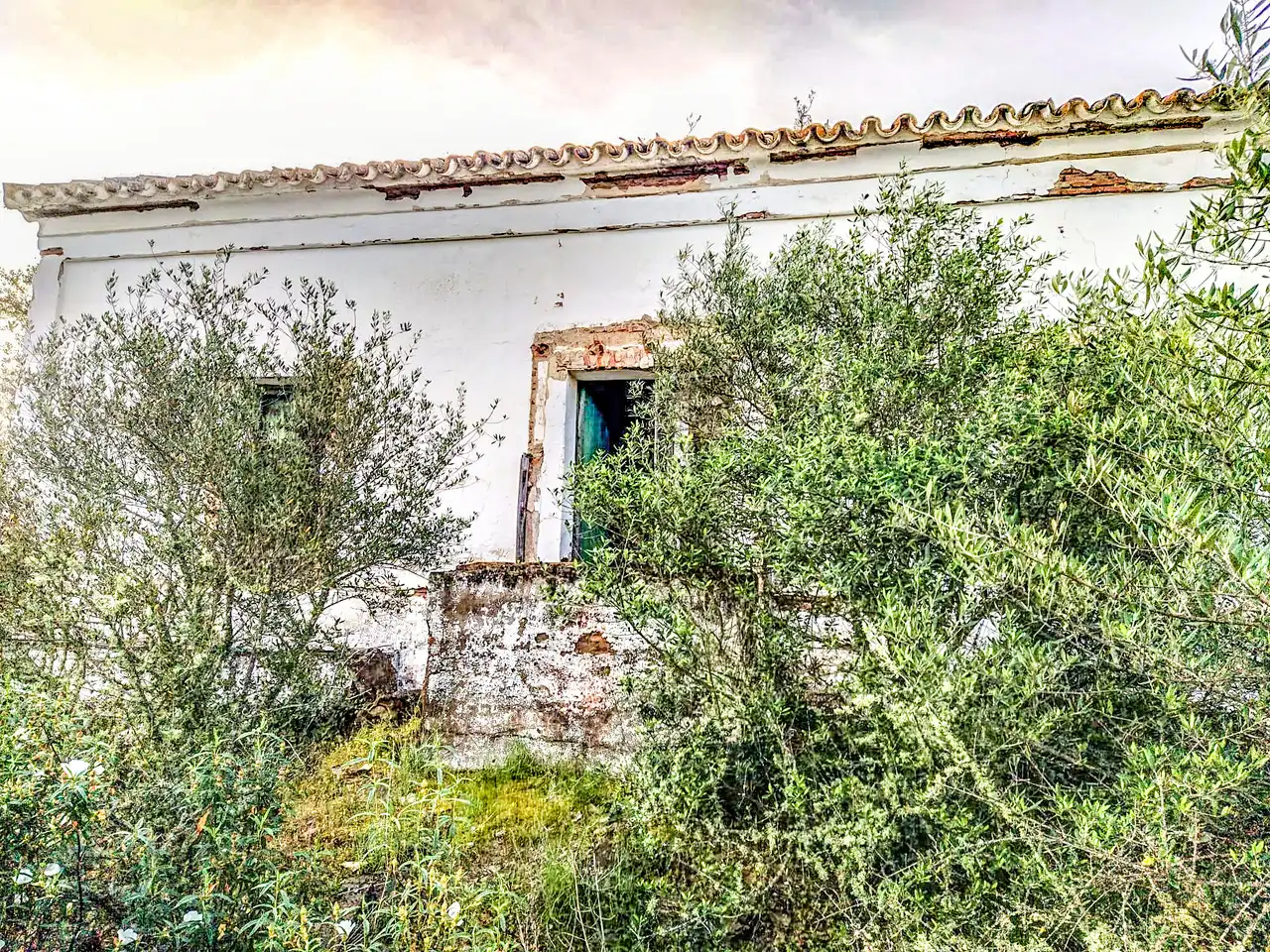 Casa rústica en venda a Camino del Romerano, imagen 3