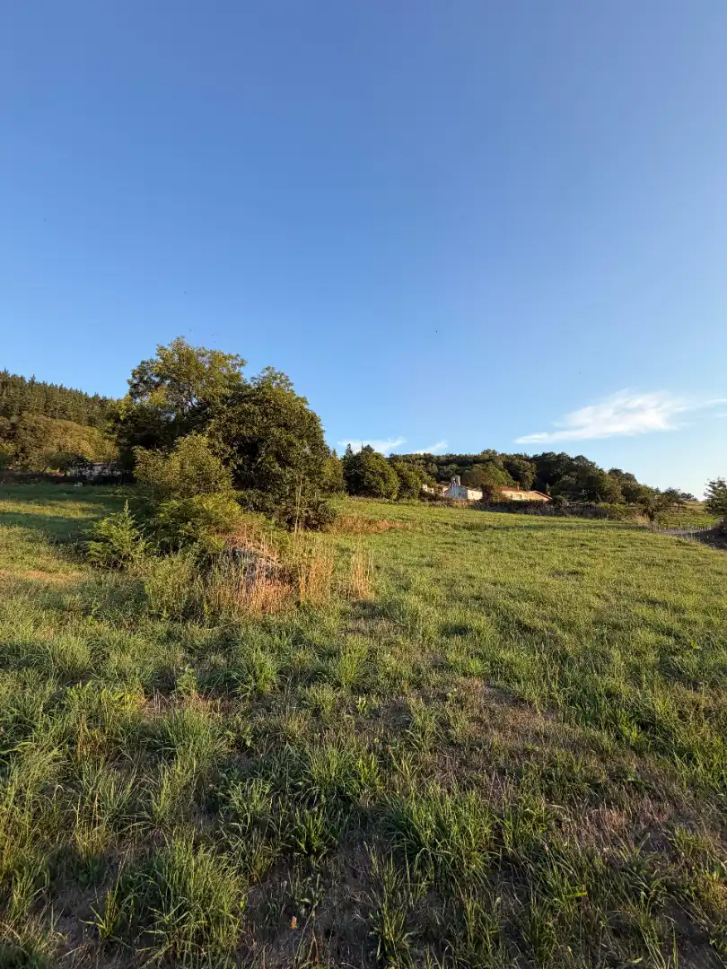 Rural land for sale in Tineo, imagen 28