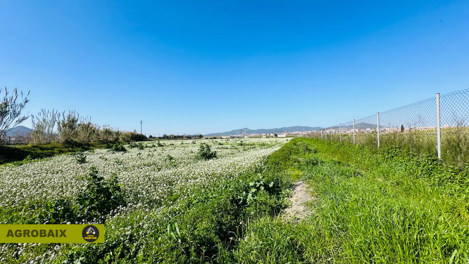 Rural land for sale in Vinyets - Molí Vell, imagen 18