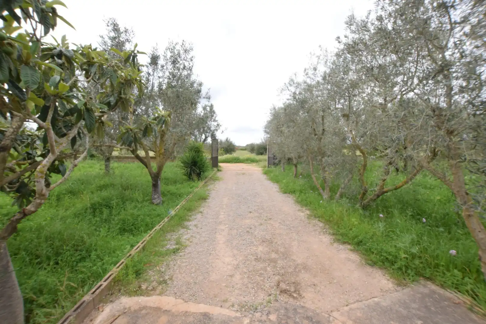 Finca rústica en venta en Santa Eugènia con Jardín privado