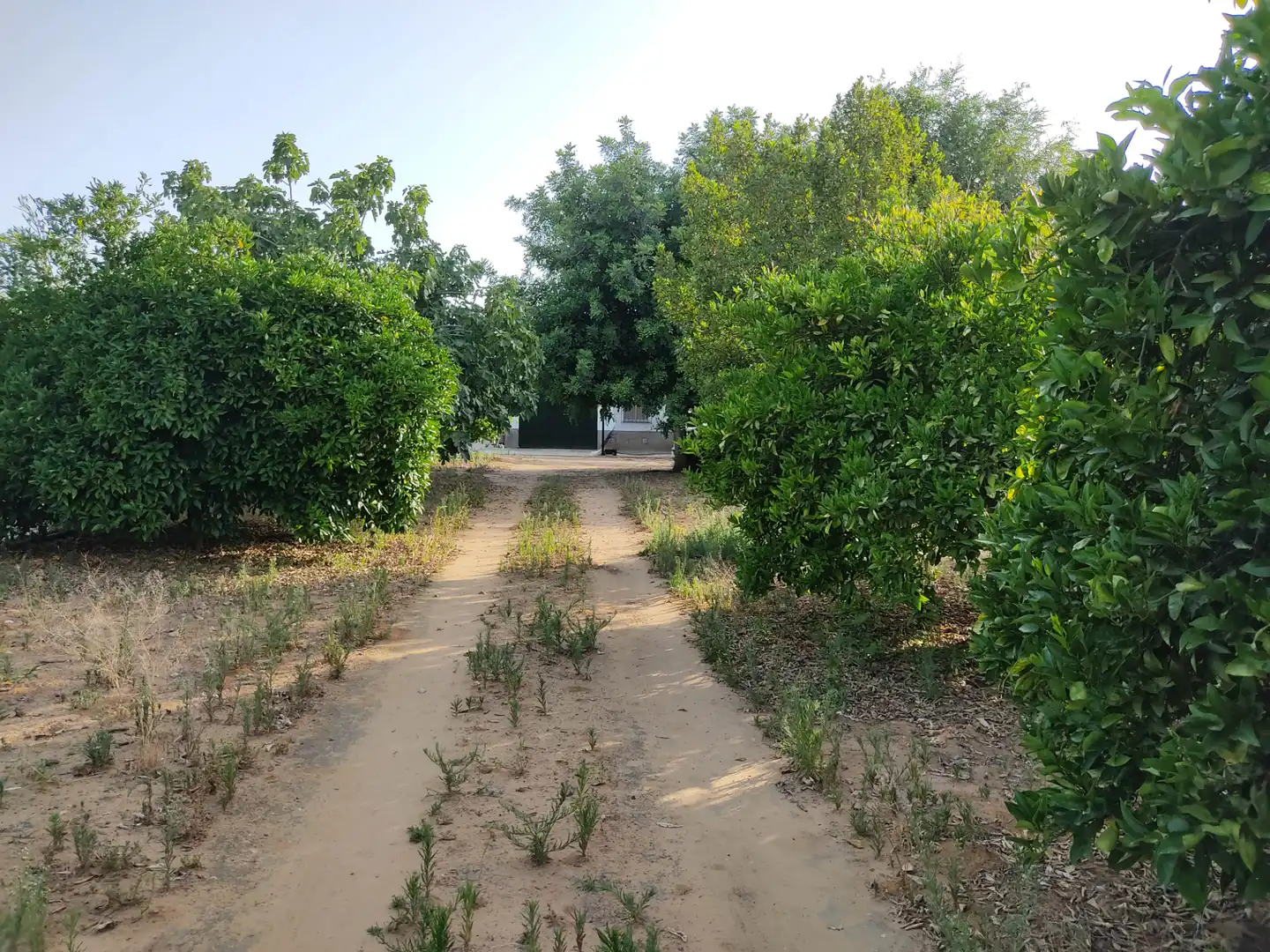 Casa o chalet en venta en Utrera con Jardín privado