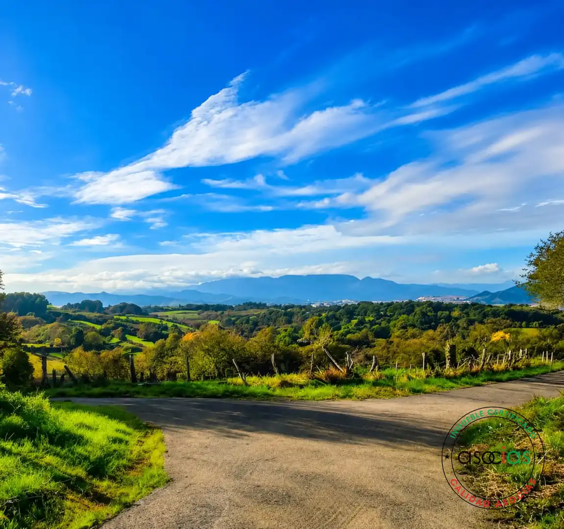Exterior view of Residential for sale in Siero