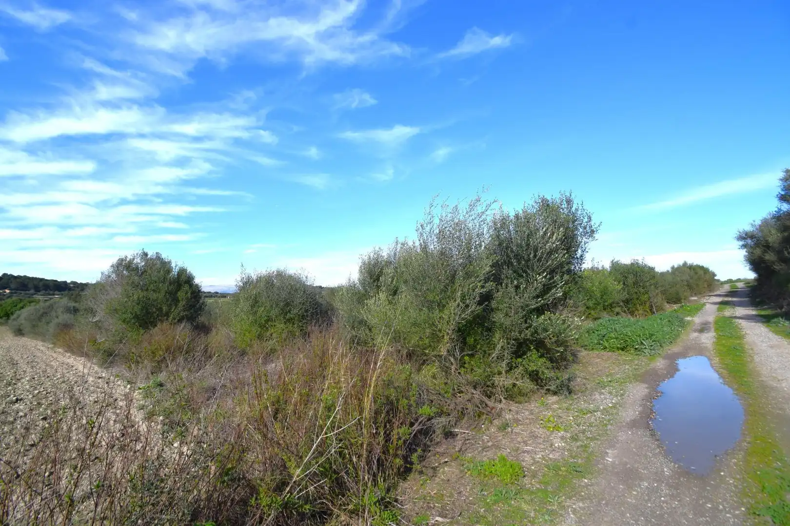 Residential land for sale in Muro, imagen 6