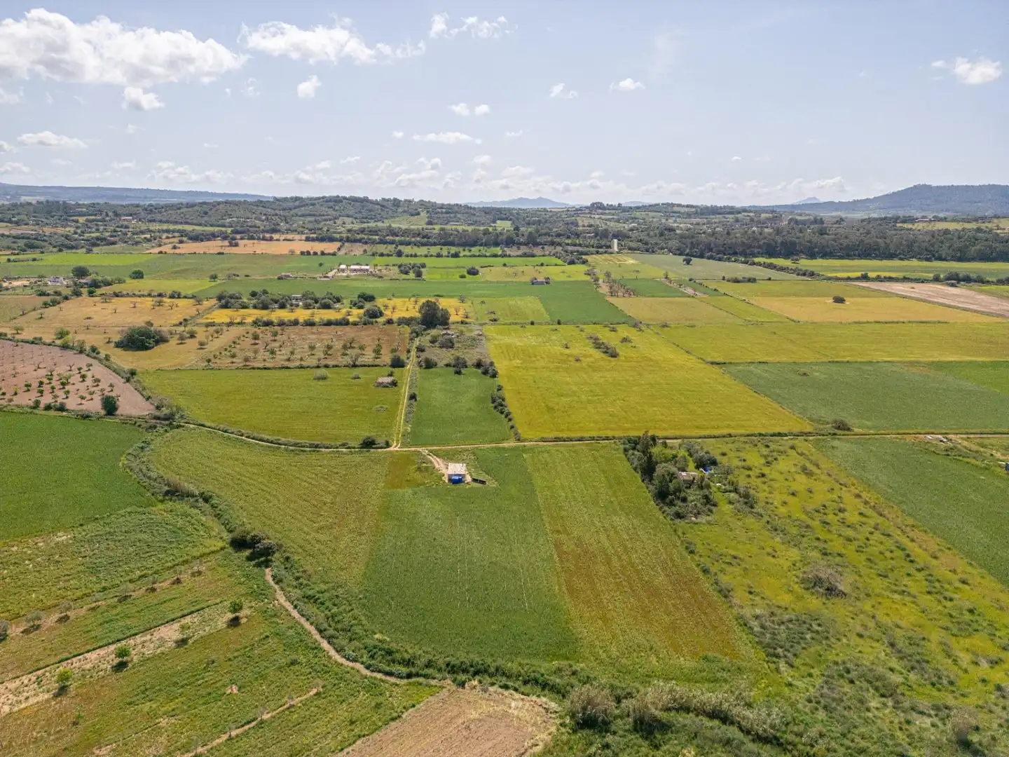 Terreny rústic en venda a Polígono 3 Parcela 363, imagen 7